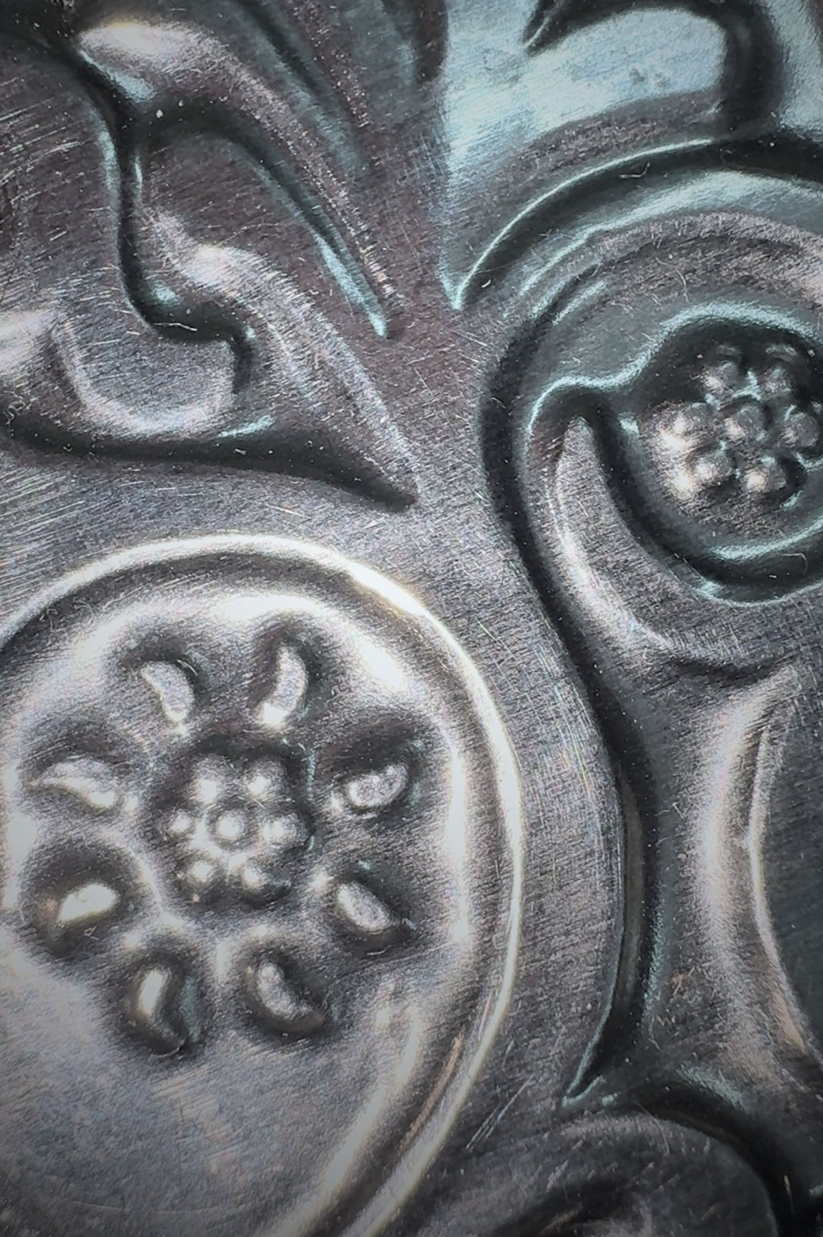 The Silver Portrait