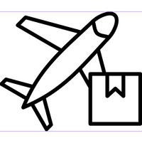 Express Shipping
